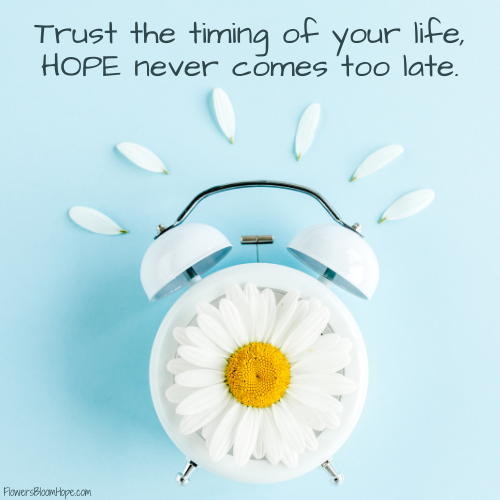 Trust the timing of your life, HOPE never comes too late.