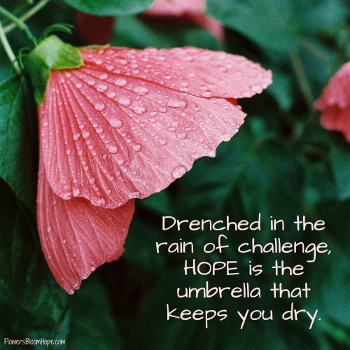 Drenched in the rain of challenge, HOPE is the umbrella that keeps you dry.