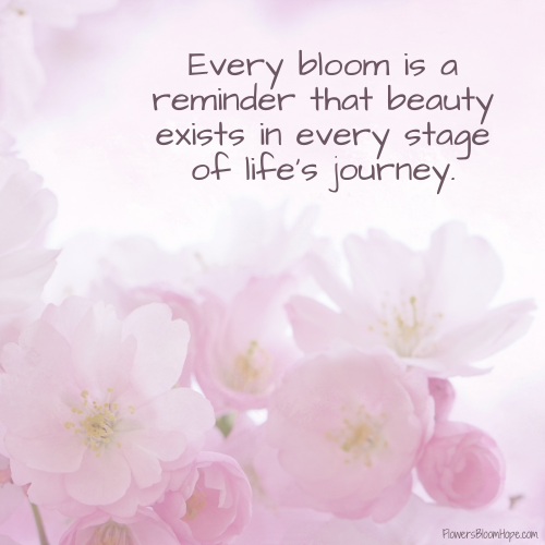 Every bloom is a reminder that beauty exists in every stage of life’s journey.