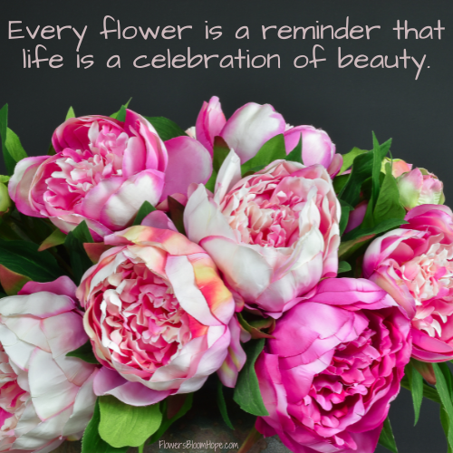 Every flower is a reminder that life is a celebration of beauty.