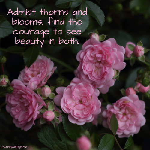 Admist thorns and blooms, find the courage to see beauty in both.