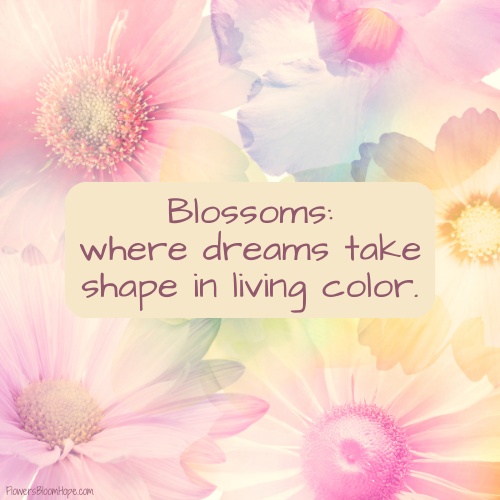 Blossoms: where dreams take shape in living color.