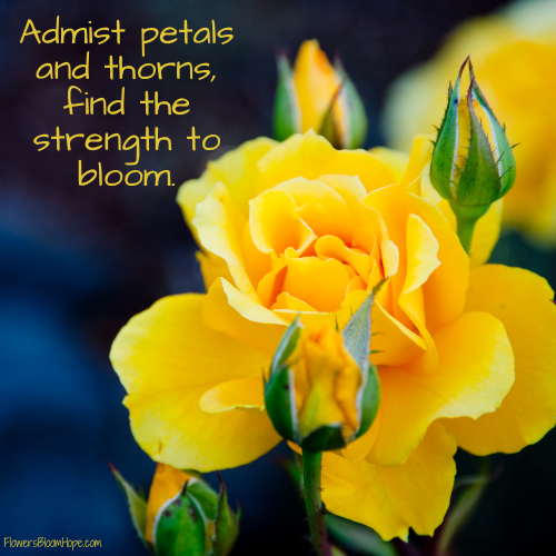 Admist petals and thorns, find the strength to bloom.