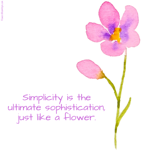 Simplicity is the ultimate sophistication, just like a flower.