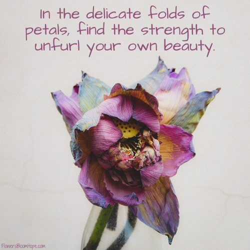 In the delicate folds of petals, find the strength to unfurl your own beauty.