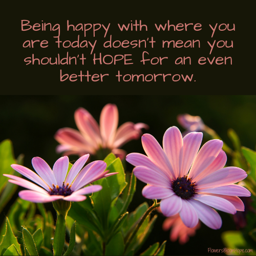 Being happy with where you are today doesn't mean you shouldn't HOPE for an even better tomorrow.