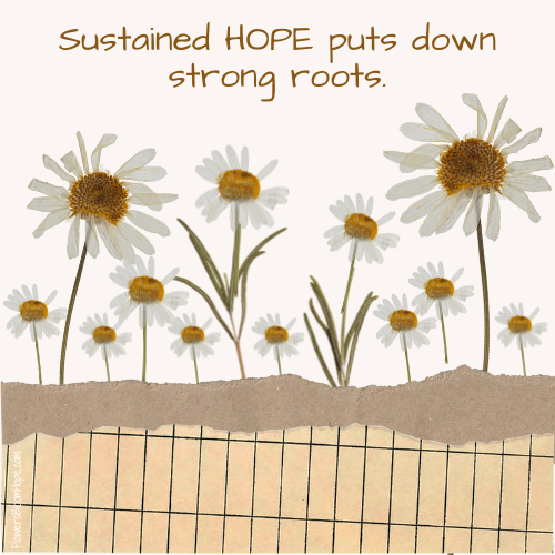 Sustained HOPE puts down strong roots.