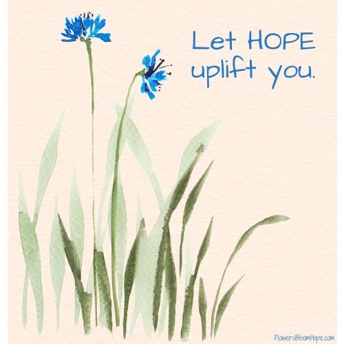 Let HOPE uplift you.