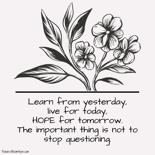 Learn from yesterday, live for today, HOPE for tomorrow. The important thing is not to stop questioning.